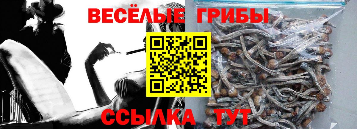 Псилоцибиновые грибы Magic Shrooms Нижнекамск